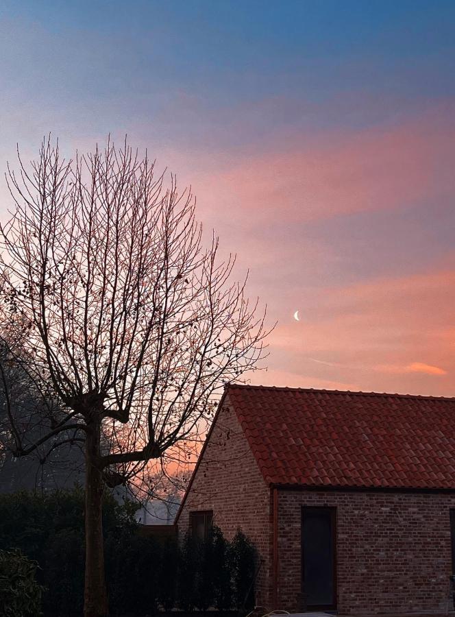 Bloemendale Guesthouse Bruges Exterior foto